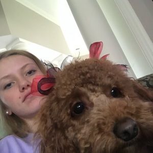 Meet your Posher, Lucy